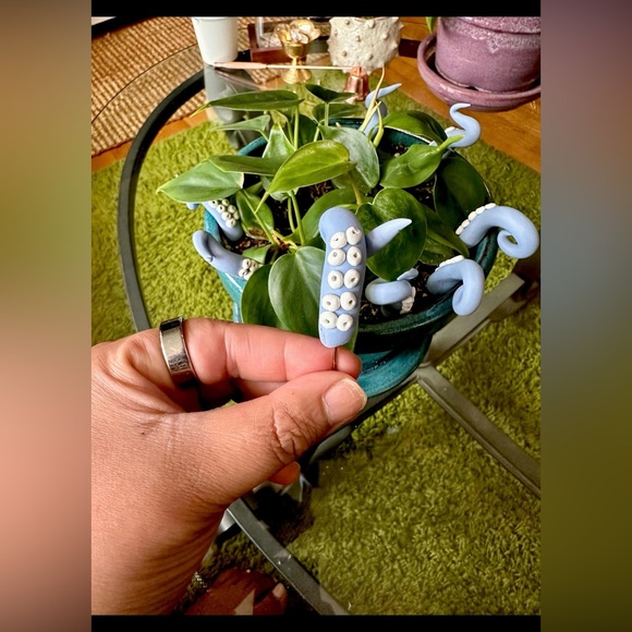 8 Baby Blue Sea Creature Tentacles 🦑Decor Tentacle Unique Modern Indoor Plant - Picture 4 of 10